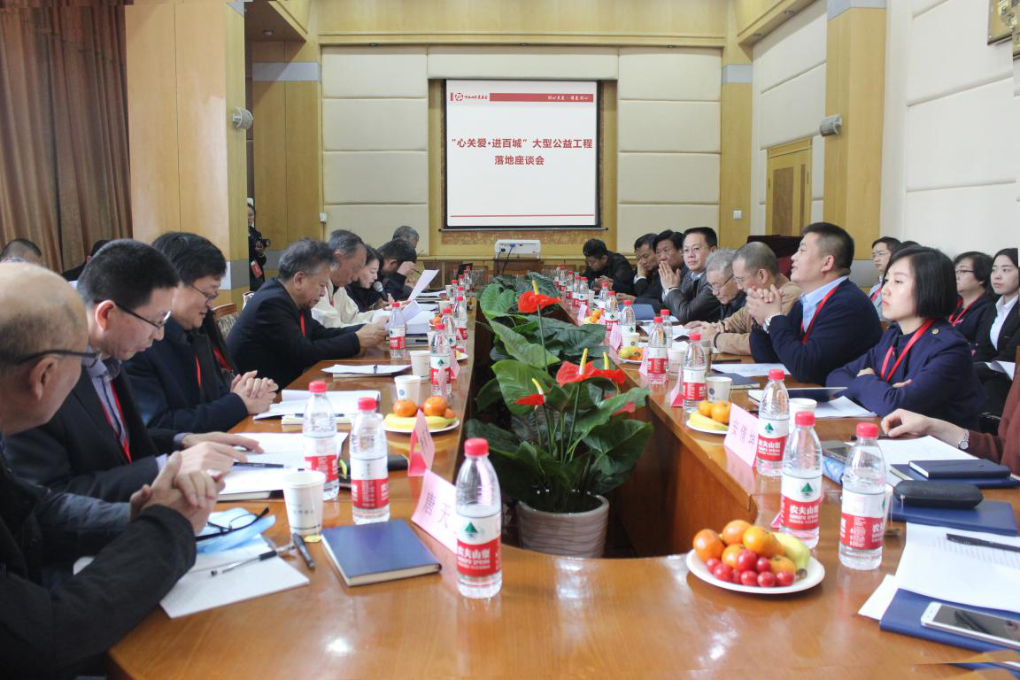 “心关爱·进百城”大型公益工程方案落地座谈会现场